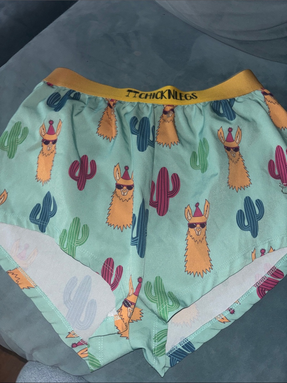 Men's Chicknlegs Mint Llama Print - $20